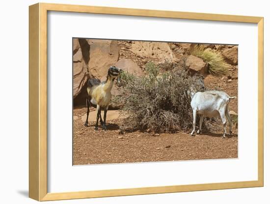 Monument Valley 17-Gordon Semmens-Framed Photographic Print