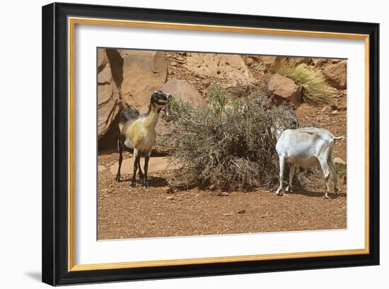 Monument Valley 17-Gordon Semmens-Framed Photographic Print