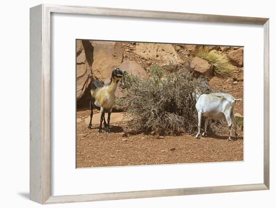 Monument Valley 17-Gordon Semmens-Framed Photographic Print