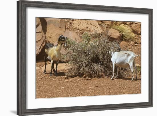 Monument Valley 17-Gordon Semmens-Framed Photographic Print