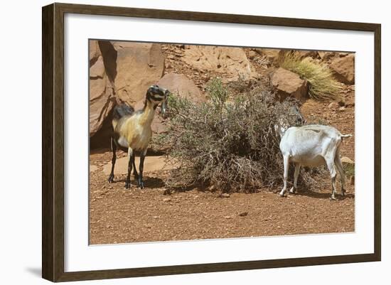 Monument Valley 17-Gordon Semmens-Framed Photographic Print