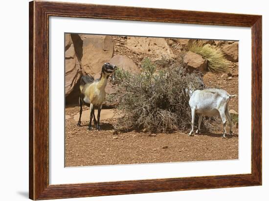 Monument Valley 17-Gordon Semmens-Framed Photographic Print