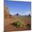 Monument Valley, Arizona, USA-Tony Gervis-Mounted Photographic Print