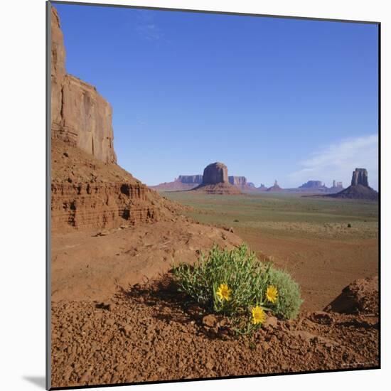 Monument Valley, Arizona, USA-Tony Gervis-Mounted Photographic Print