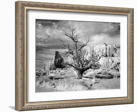 Monument Valley, Arizona-Carol Highsmith-Framed Photo