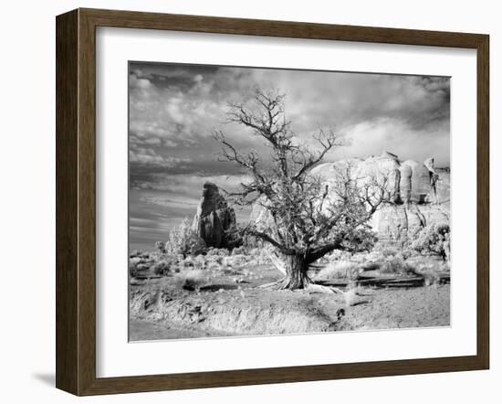 Monument Valley, Arizona-Carol Highsmith-Framed Photo