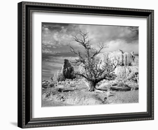 Monument Valley, Arizona-Carol Highsmith-Framed Photo