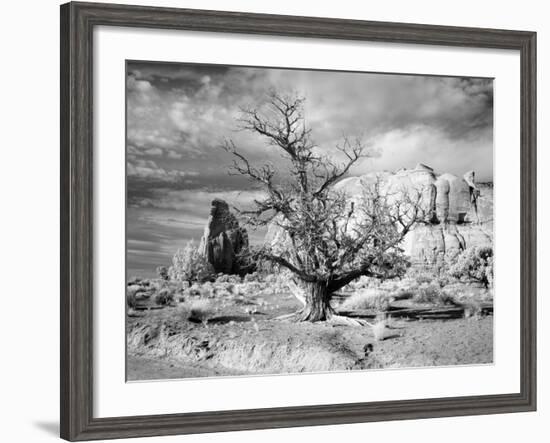 Monument Valley, Arizona-Carol Highsmith-Framed Photo