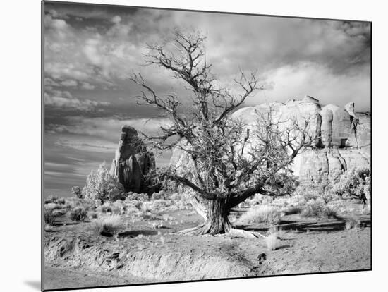 Monument Valley, Arizona-Carol Highsmith-Mounted Photo