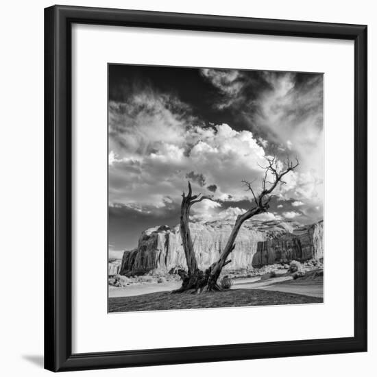 Monument Valley Juniper Tree and Mesa-Silvio Ligutti-Framed Photographic Print