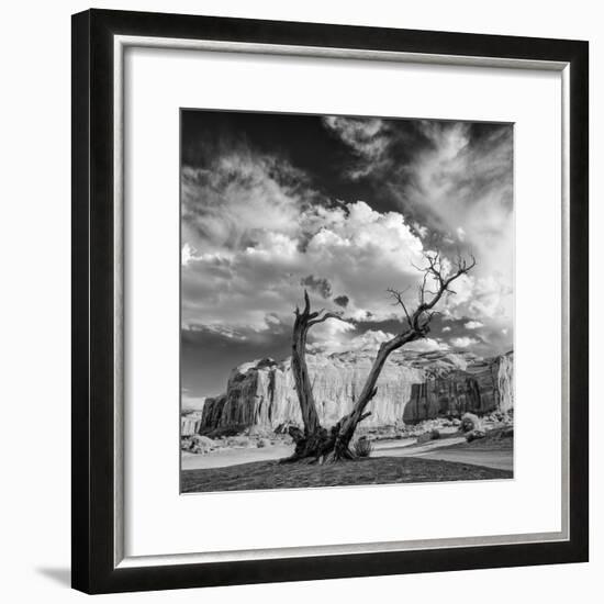 Monument Valley Juniper Tree and Mesa-Silvio Ligutti-Framed Photographic Print