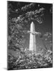 Monument with Cherry Blossom in Foreground, Washington DC, USA-Scott T. Smith-Mounted Photographic Print