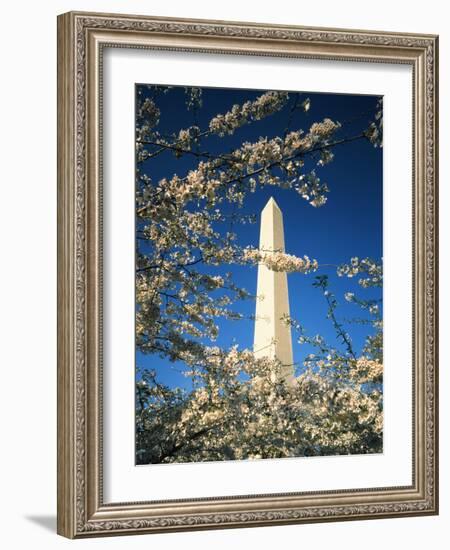 Monument with Cherry Blossom in Foreground, Washington DC, USA-Scott T. Smith-Framed Photographic Print