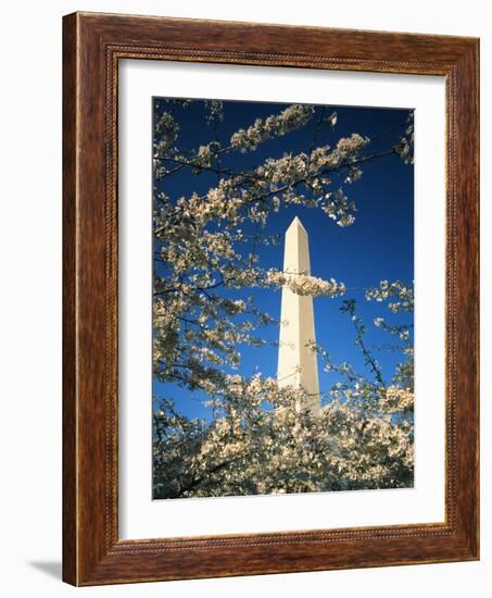 Monument with Cherry Blossom in Foreground, Washington DC, USA-Scott T. Smith-Framed Photographic Print