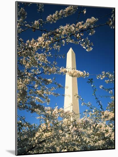 Monument with Cherry Blossom in Foreground, Washington DC, USA-Scott T. Smith-Mounted Photographic Print