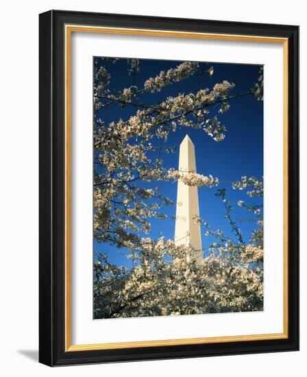 Monument with Cherry Blossom in Foreground, Washington DC, USA-Scott T. Smith-Framed Photographic Print