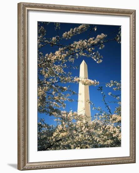 Monument with Cherry Blossom in Foreground, Washington DC, USA-Scott T. Smith-Framed Photographic Print