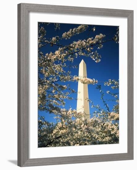 Monument with Cherry Blossom in Foreground, Washington DC, USA-Scott T. Smith-Framed Photographic Print