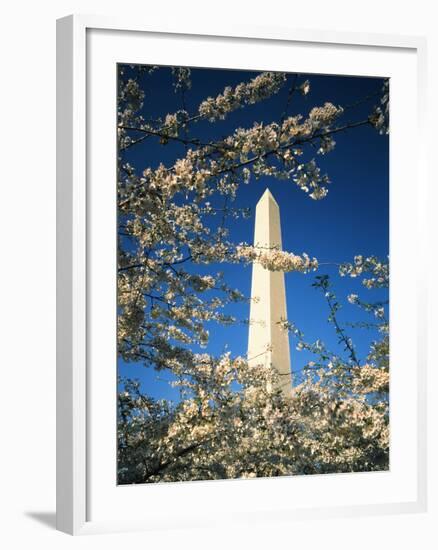 Monument with Cherry Blossom in Foreground, Washington DC, USA-Scott T. Smith-Framed Photographic Print