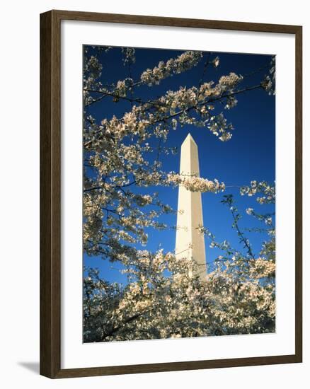 Monument with Cherry Blossom in Foreground, Washington DC, USA-Scott T. Smith-Framed Photographic Print