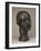 Monumental Head of Pierre De Wissant, Modeled circa 1884-1885, Enlarged circa 1909, Musée Rodin Cas-Auguste Rodin-Framed Giclee Print