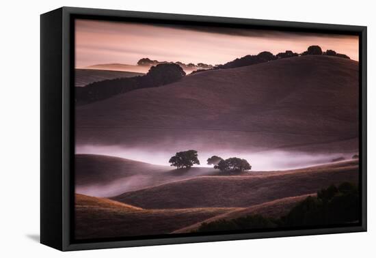 Mood and Mist and Morning Light, Petaluma Sonoma California-Vincent James-Framed Premier Image Canvas