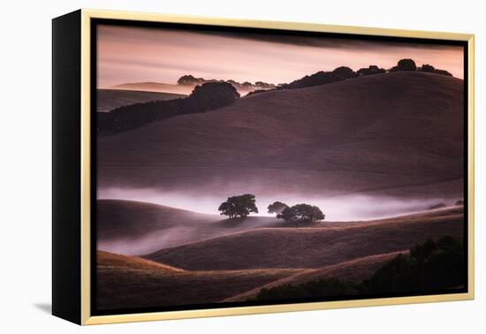 Mood and Mist and Morning Light, Petaluma Sonoma California-Vincent James-Framed Premier Image Canvas