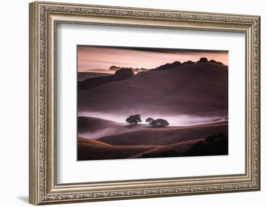 Mood and Mist and Morning Light, Petaluma Sonoma California-Vincent James-Framed Photographic Print