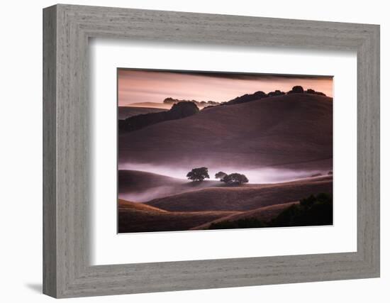 Mood and Mist and Morning Light, Petaluma Sonoma California-Vincent James-Framed Photographic Print