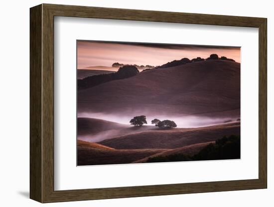 Mood and Mist and Morning Light, Petaluma Sonoma California-Vincent James-Framed Photographic Print