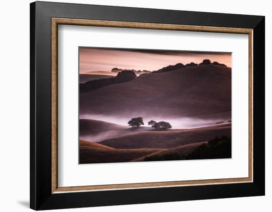 Mood and Mist and Morning Light, Petaluma Sonoma California-Vincent James-Framed Photographic Print