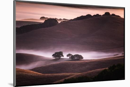 Mood and Mist and Morning Light, Petaluma Sonoma California-Vincent James-Mounted Photographic Print