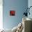 Mood in Red-Nancy Ortenstone-Mounted Art Print displayed on a wall