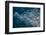 Moody Blue-Darlene Hewson-Framed Photographic Print