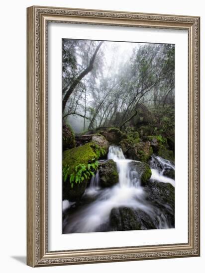 Moody Cataract Falls, Marin County Waterfall, Bay Area, California-Vincent James-Framed Photographic Print