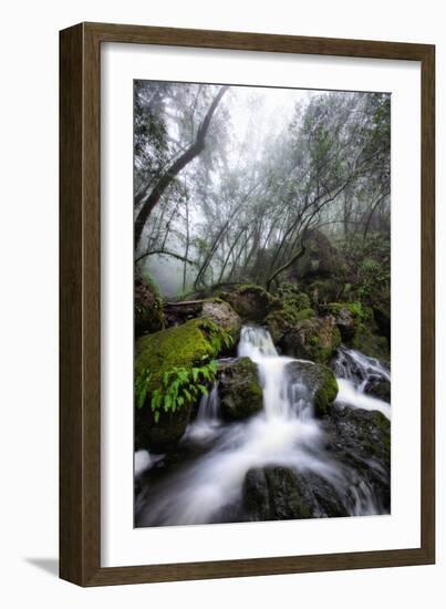 Moody Cataract Falls, Marin County Waterfall, Bay Area, California-Vincent James-Framed Photographic Print