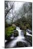 Moody Cataract Falls, Marin County Waterfall, Bay Area, California-Vincent James-Mounted Photographic Print