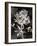 Moody Floral II-Aria K-Framed Art Print