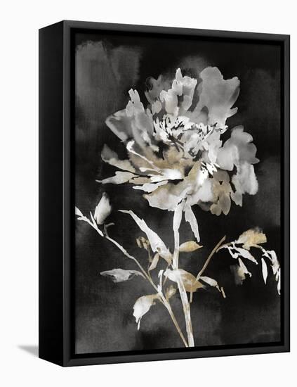 Moody Floral II-Aria K-Framed Stretched Canvas