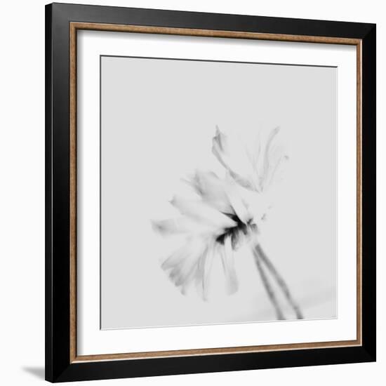 Moody Flower 2-Imaginative-Framed Photographic Print