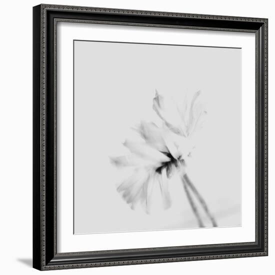 Moody Flower 2-Imaginative-Framed Photographic Print