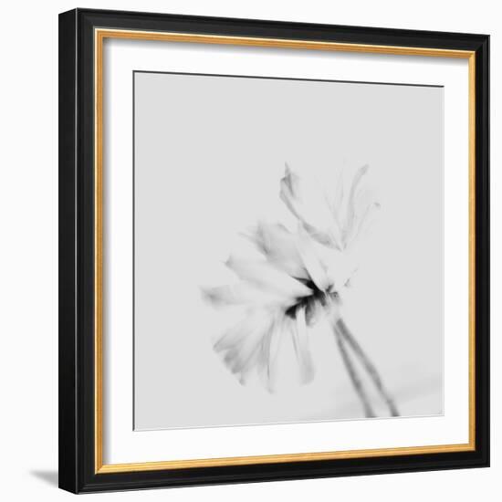 Moody Flower 2-Imaginative-Framed Photographic Print