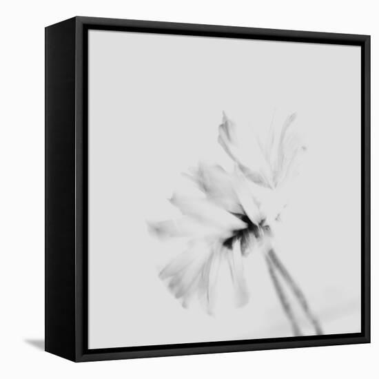 Moody Flower 2-Imaginative-Framed Premier Image Canvas