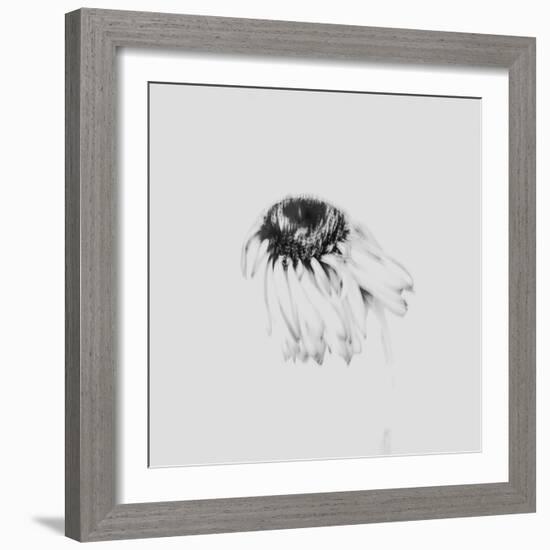 Moody Flower-Imaginative-Framed Photographic Print