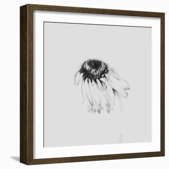 Moody Flower-Imaginative-Framed Photographic Print