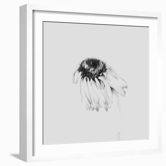 Moody Flower-Imaginative-Framed Photographic Print