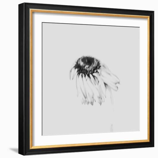 Moody Flower-Imaginative-Framed Photographic Print