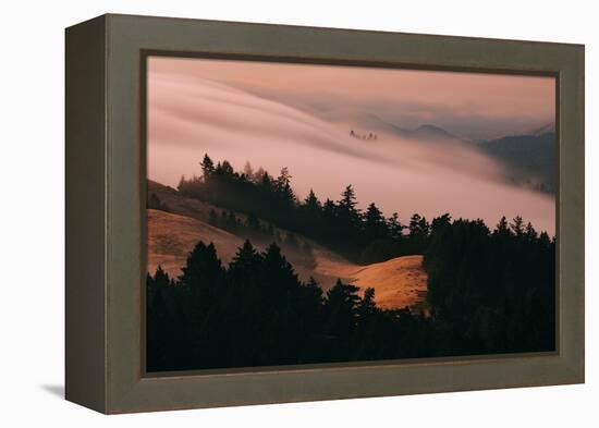 Moody Hills and Fog Flow, Mount Tamalpais, California-Vincent James-Framed Premier Image Canvas