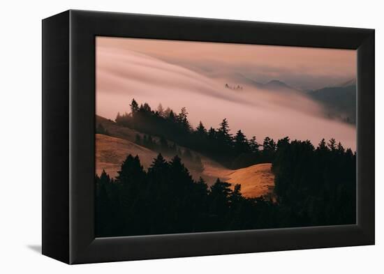 Moody Hills and Fog Flow, Mount Tamalpais, California-Vincent James-Framed Premier Image Canvas
