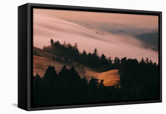 Moody Hills and Fog Flow, Mount Tamalpais, California-Vincent James-Framed Premier Image Canvas